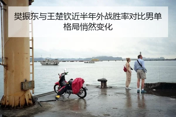 樊振东与王楚钦近半年外战胜率对比男单格局悄然变化 - huangguantiyu