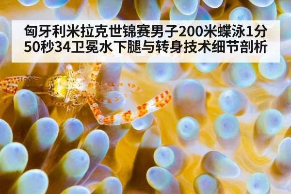 匈牙利米拉克世锦赛男子200米蝶泳1分50秒34卫冕水下腿与转身技术细节剖析